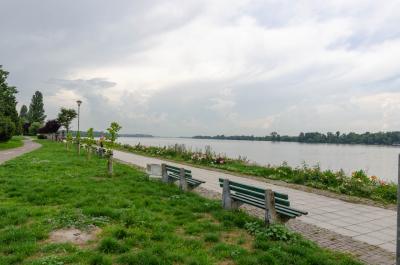 Прикрепленное изображение: DSC_1356.jpg